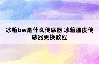 冰箱bw是什么传感器 冰箱温度传感器更换教程